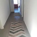Apartment Stars Palace Zaboric