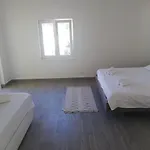 Apartment Stars Palace
