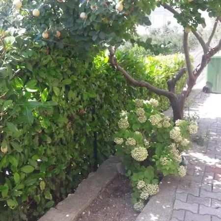 Stars Palace Žaborić