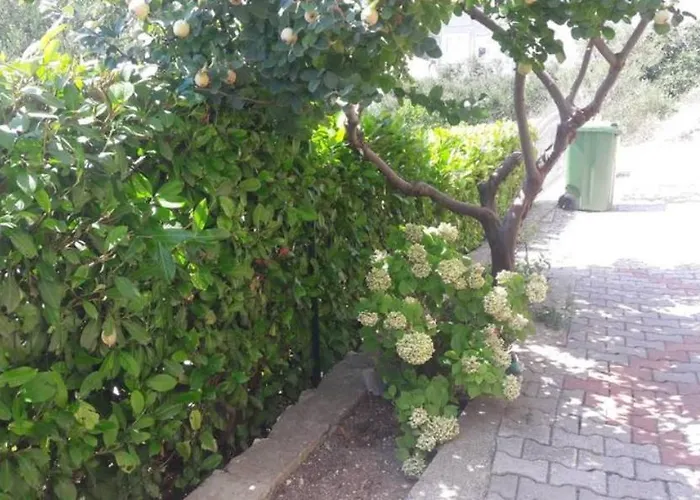 Stars Palace ז'אבוריץ'